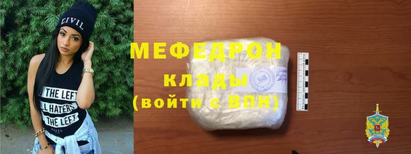 индика Заволжье