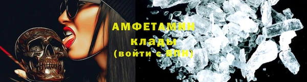 индика Заволжье