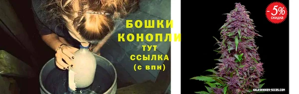 трава Елабуга