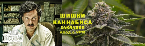крисы Елизово
