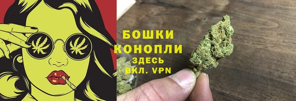крисы Елизово