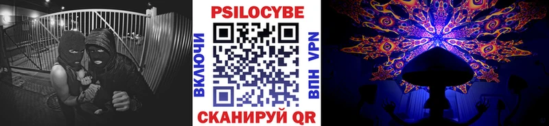 Псилоцибиновые грибы Psilocybe  Купить где  Тбилисская 